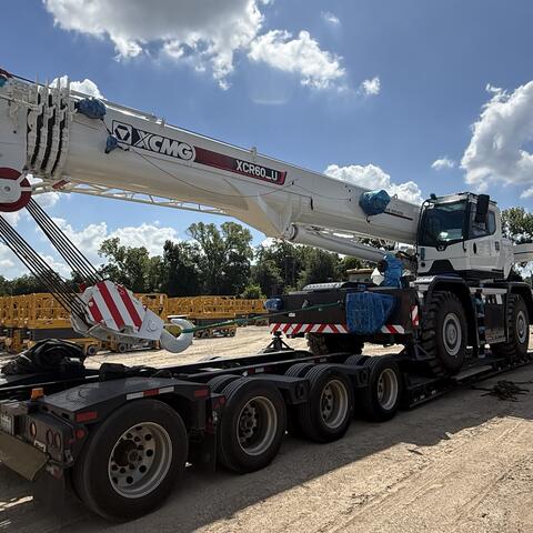 Cranes photo 10