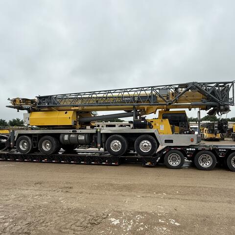 Cranes photo 14