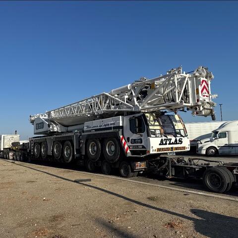 Cranes photo 15
