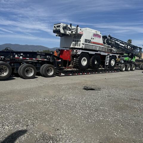 Cranes photo 3