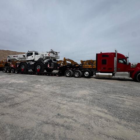 Cranes photo 4