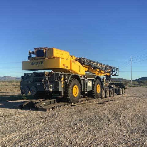 Cranes photo 6