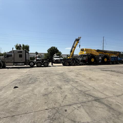 Cranes photo 7