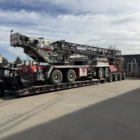 Cranes photo 8